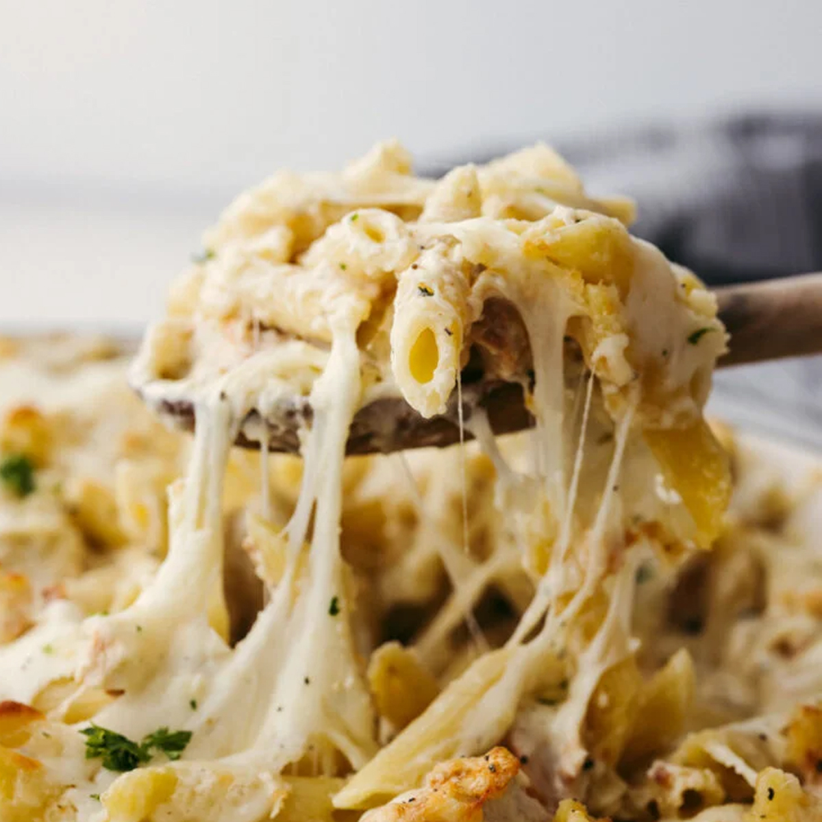 The MacDaddy Dish | MacDaddy Chicken Alfredo Catering Pan - The ...