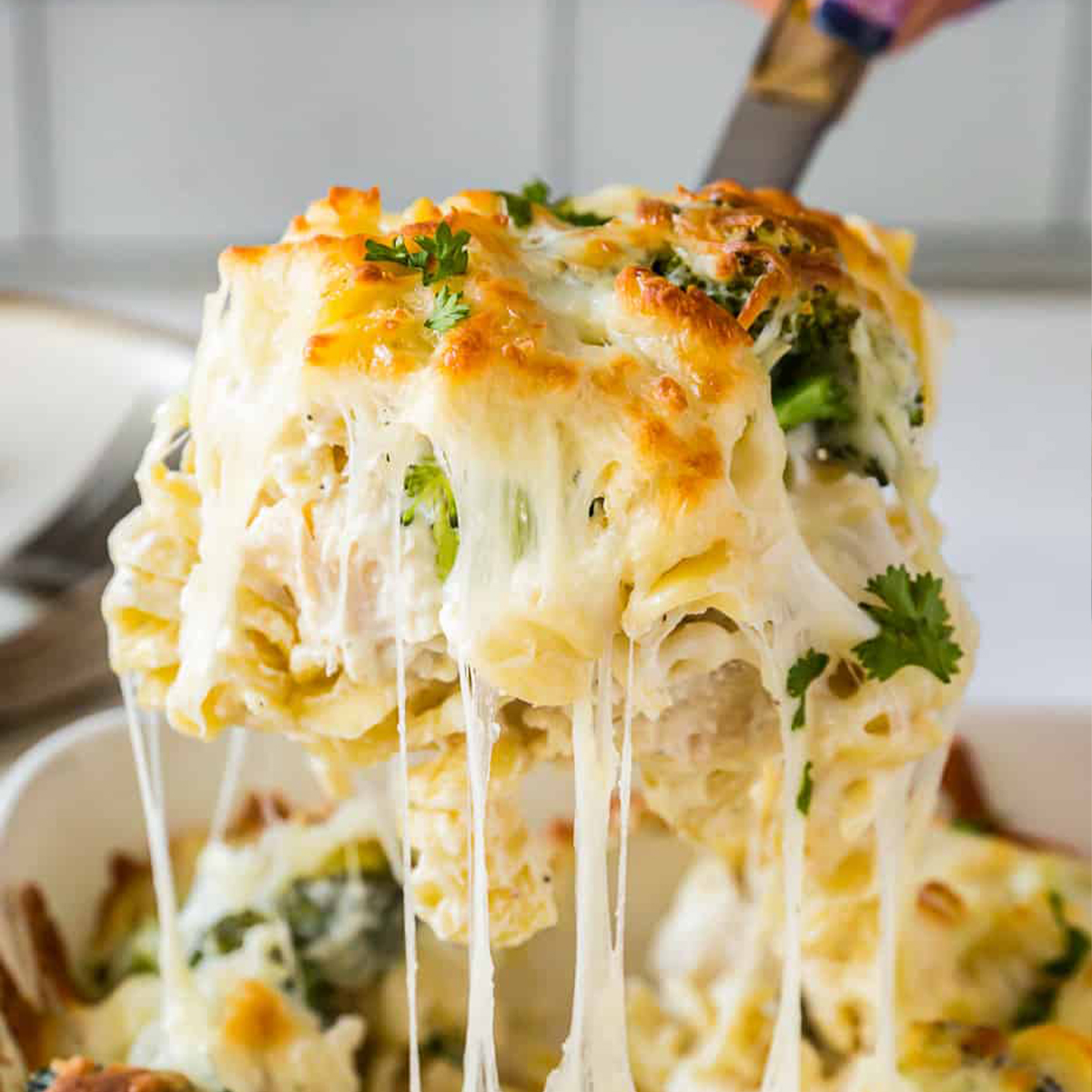 The MacDaddy Dish | MacDaddy Chicken Alfredo Party-Size - The MacDaddy Dish